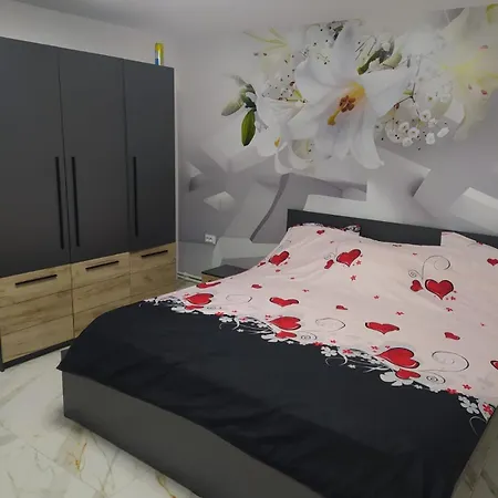 Casa Andreea Case de vacanță