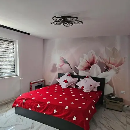 Case de vacanță Casa Andreea