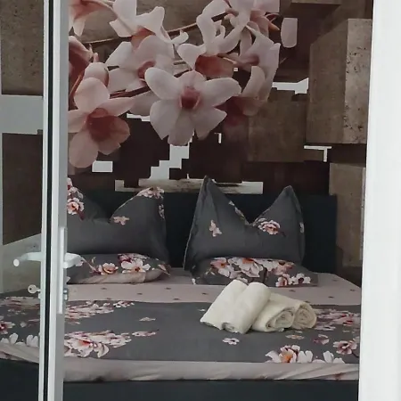 Casa Andreea